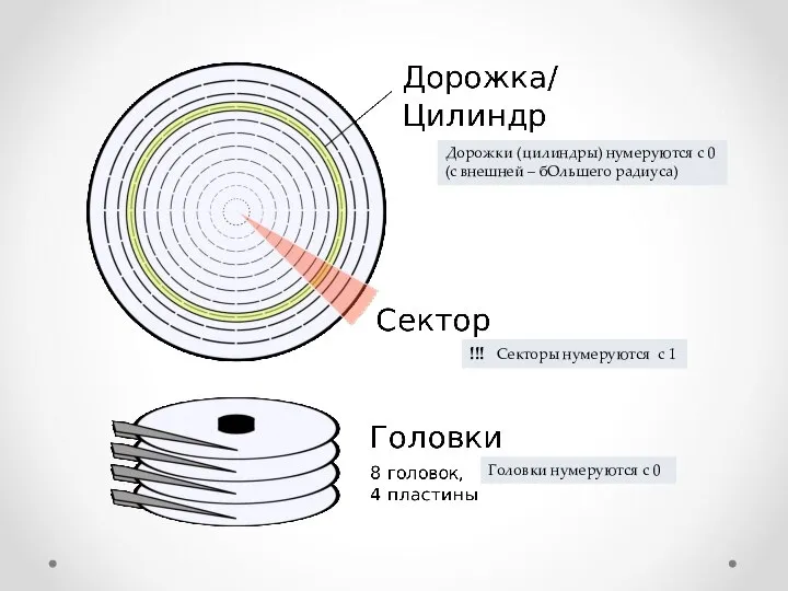 Дорожки (цилиндры) нумеруются с 0 (с внешней – бОльшего радиуса) Головки