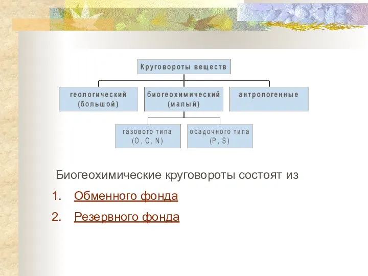 Биогеохимические круговороты состоят из Обменного фонда Резервного фонда