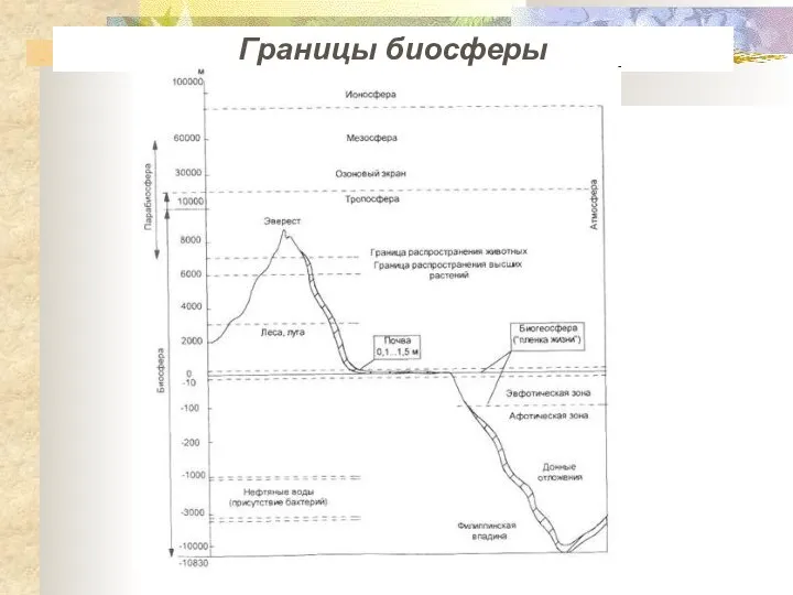 Границы биосферы