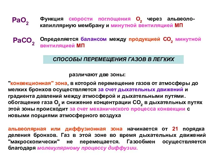 РаО2 Функция скорости поглощения О2 через альвеоло-капиллярную мембрану и минутной вентиляцией