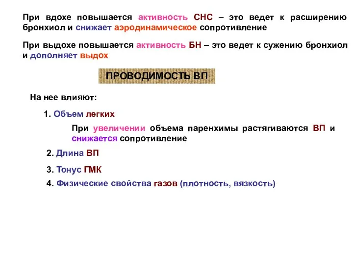 При вдохе повышается активность СНС – это ведет к расширению бронхиол