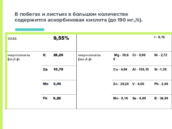 В побегах и листьях в большом количестве содержится аскорбиновая кислота (до 190 мг.,%).