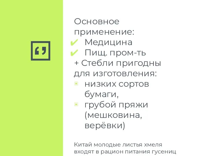 Основное применение: Медицина Пищ. пром-ть + Стебли пригодны для изготовления: низких