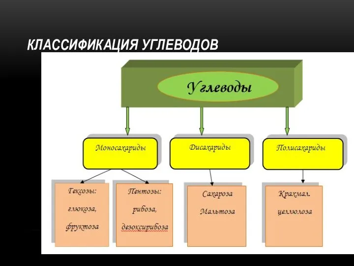 КЛАССИФИКАЦИЯ УГЛЕВОДОВ