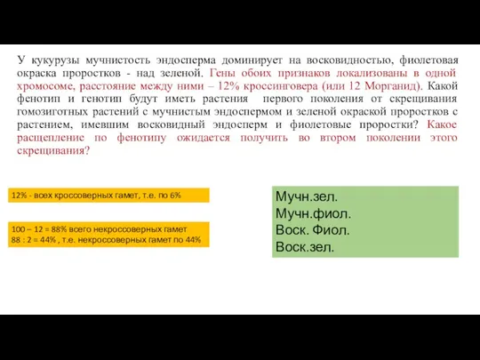 У кукурузы мучнистость эндосперма доминирует на восковидностью, фиолетовая окраска проростков -