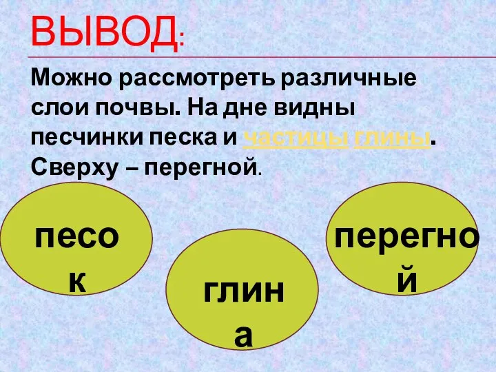 ВЫВОД: Можно рассмотреть различные слои почвы. На дне видны песчинки песка