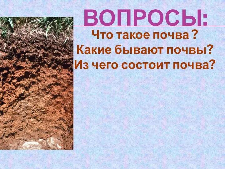 ВОПРОСЫ: Что такое почва ? Какие бывают почвы? Из чего состоит почва?