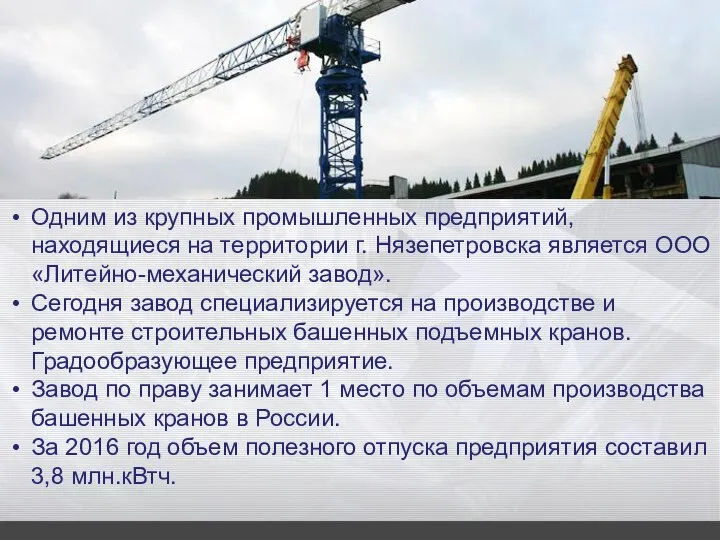 Одним из крупных промышленных предприятий, находящиеся на территории г. Нязепетровска является