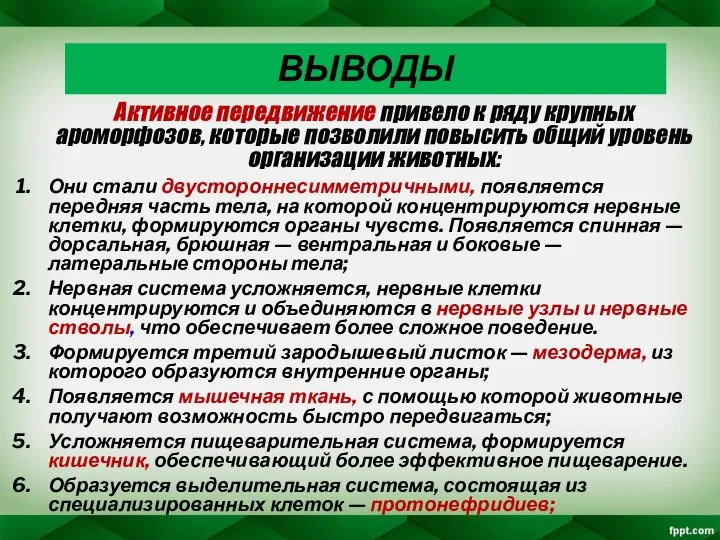 ВЫВОДЫ Активное передвижение привело к ряду крупных ароморфозов, которые позволили повысить