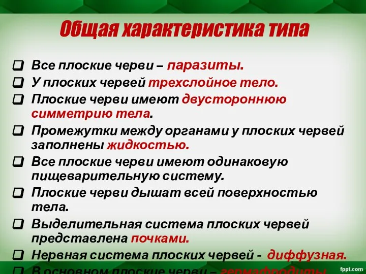 Общая характеристика типа Все плоские черви – паразиты. У плоских червей