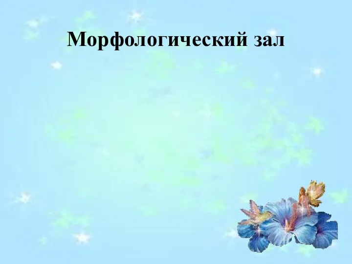 Морфологический зал