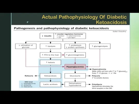 Actual Pathophysiology Of Diabetic Ketoacidosis