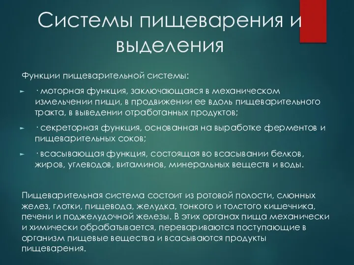 Системы пищеварения и выделения Функции пищеварительной системы: · моторная функция, заключающаяся