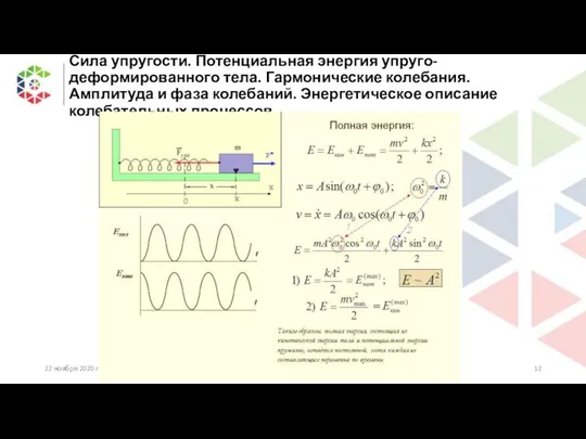 Сила упругости. Потенциальная энергия упруго-деформированного тела. Гармонические колебания. Амплитуда и фаза