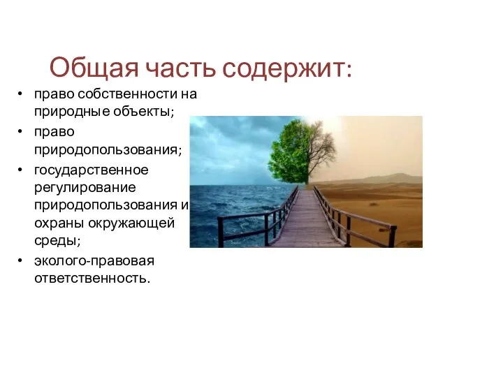 Общая часть содержит: право собственности на природные объекты; право природопользования; государственное