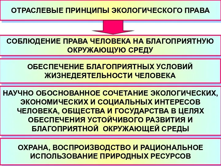 ОТРАСЛЕВЫЕ ПРИНЦИПЫ ЭКОЛОГИЧЕСКОГО ПРАВА СОБЛЮДЕНИЕ ПРАВА ЧЕЛОВЕКА НА БЛАГОПРИЯТНУЮ ОКРУЖАЮЩУЮ СРЕДУ