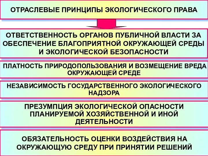 ОТРАСЛЕВЫЕ ПРИНЦИПЫ ЭКОЛОГИЧЕСКОГО ПРАВА ОТВЕТСТВЕННОСТЬ ОРГАНОВ ПУБЛИЧНОЙ ВЛАСТИ ЗА ОБЕСПЕЧЕНИЕ БЛАГОПРИЯТНОЙ