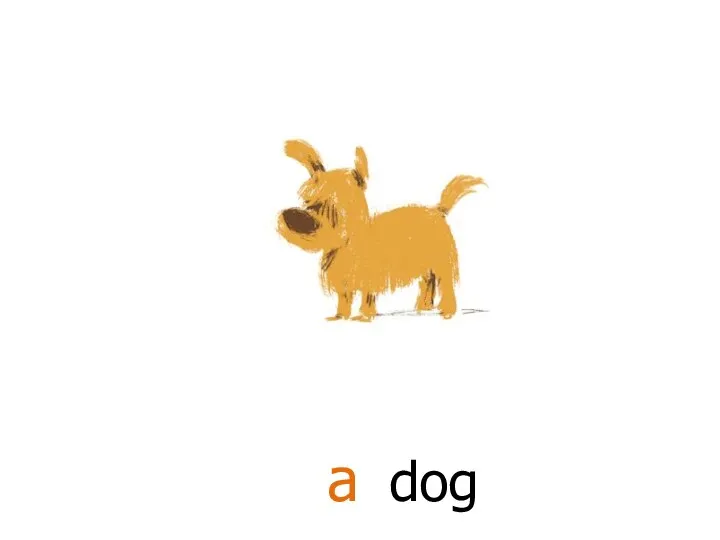 dog a