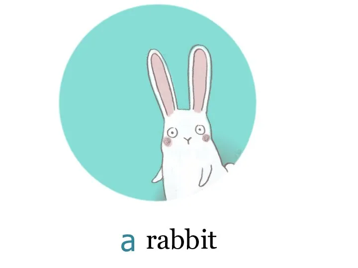 rabbit a