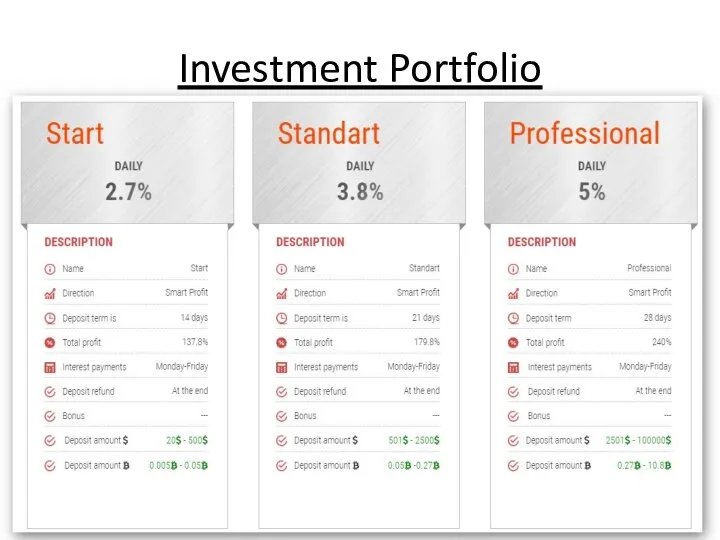 Investment Portfolio