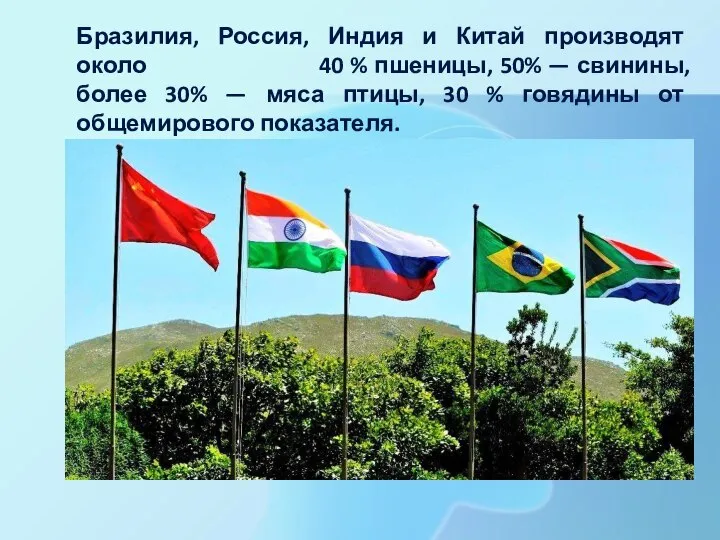 Бразилия, Россия, Индия и Китай производят около 40 % пшеницы, 50%