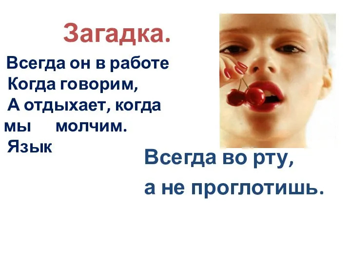 Загадка. Всегда во рту, а не проглотишь. Всегда он в работе