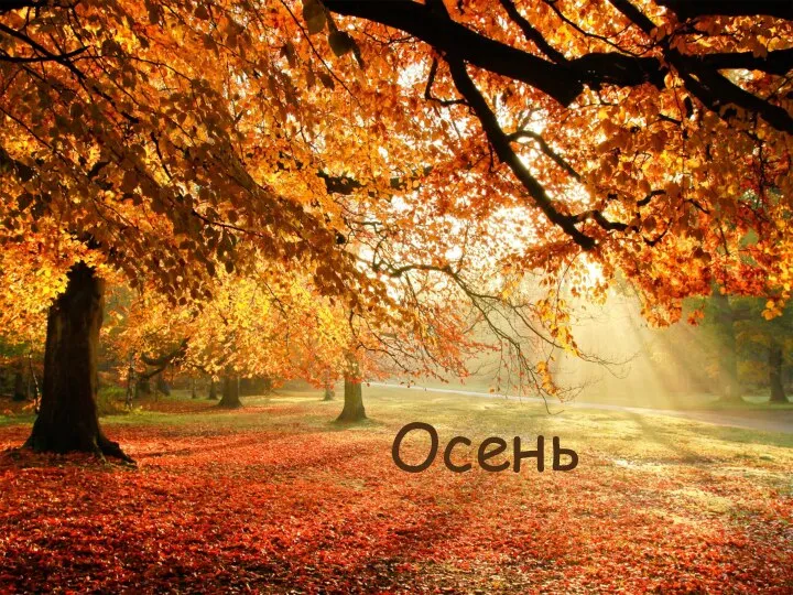 Осень