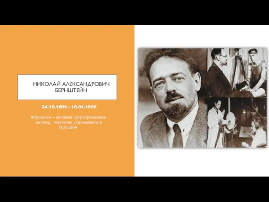 НИКОЛАЙ АЛЕКСАНДРОВИЧ БЕРНШТЕЙН 24.10.1896 - 16.01.1966 «Организм – активная целеустремленная система, постоянно устремленная в будущее»