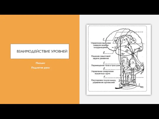 ВЗАИМОДЕЙСТВИЕ УРОВНЕЙ Письмо Поднятие руки