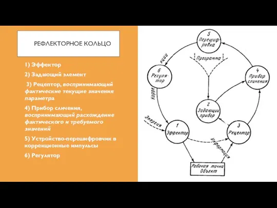 РЕФЛЕКТОРНОЕ КОЛЬЦО 1) Эффектор 2) Задающий элемент 3) Рецептор, воспринимающий фактические