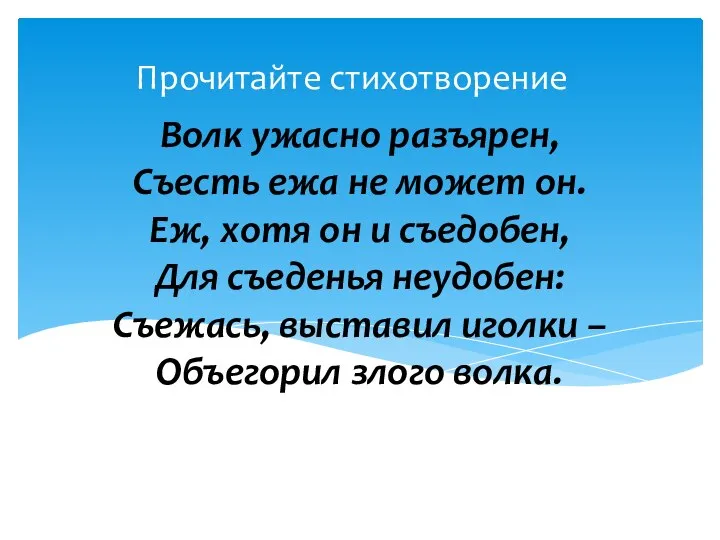 Волк ужасно разъярен, Съесть ежа не может он. Еж, хотя он