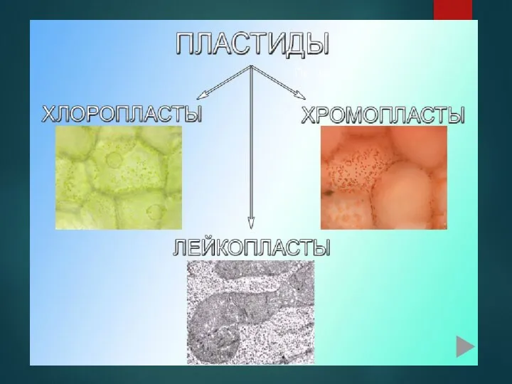 По цвету