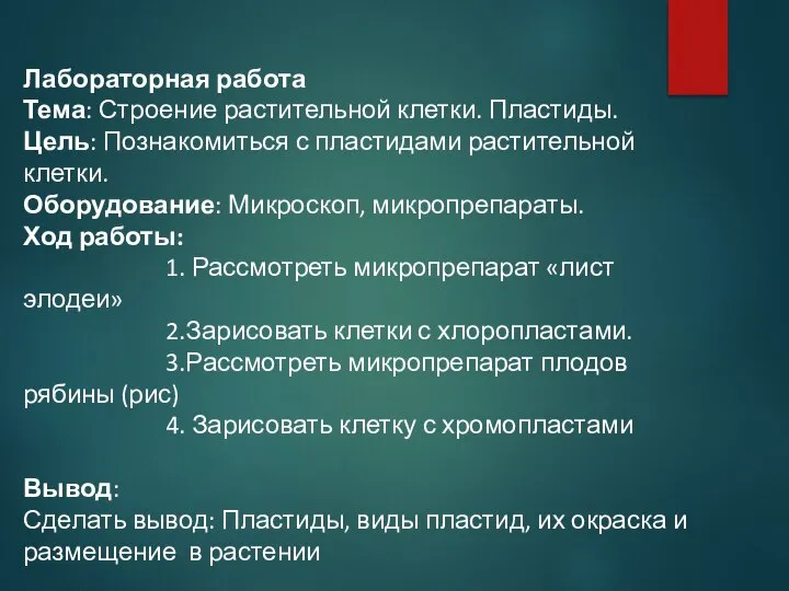 Лабораторная работа Тема: Строение растительной клетки. Пластиды. Цель: Познакомиться с пластидами