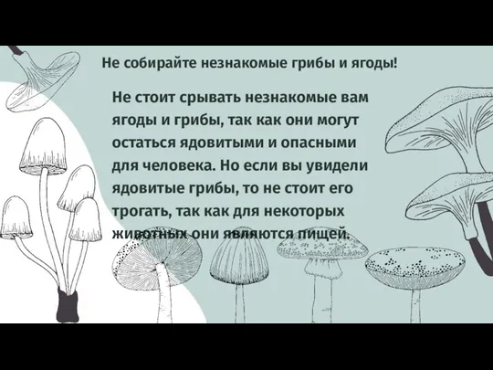 Не стоит срывать незнакомые вам ягоды и грибы, так как они