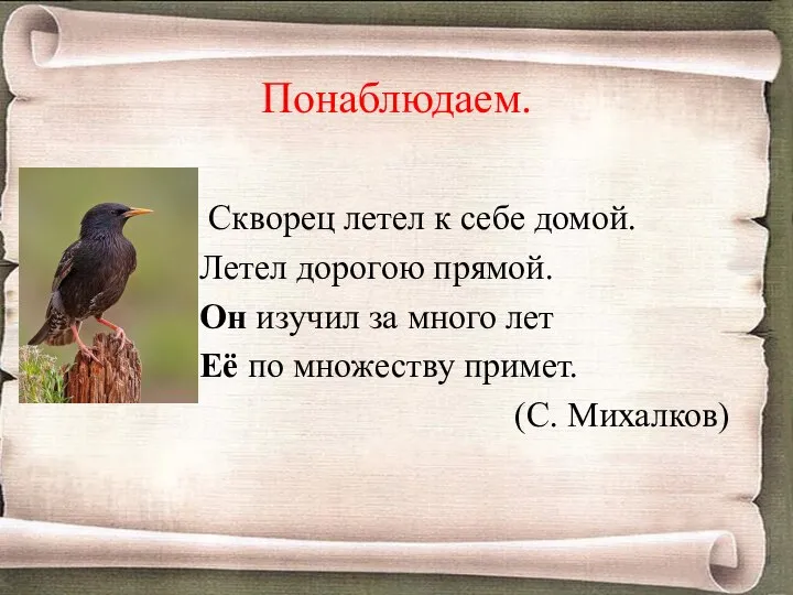 Понаблюдаем. Скворец летел к себе домой. Летел дорогою прямой. Он изучил