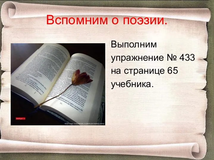 Вспомним о поэзии. Выполним упражнение № 433 на странице 65 учебника.