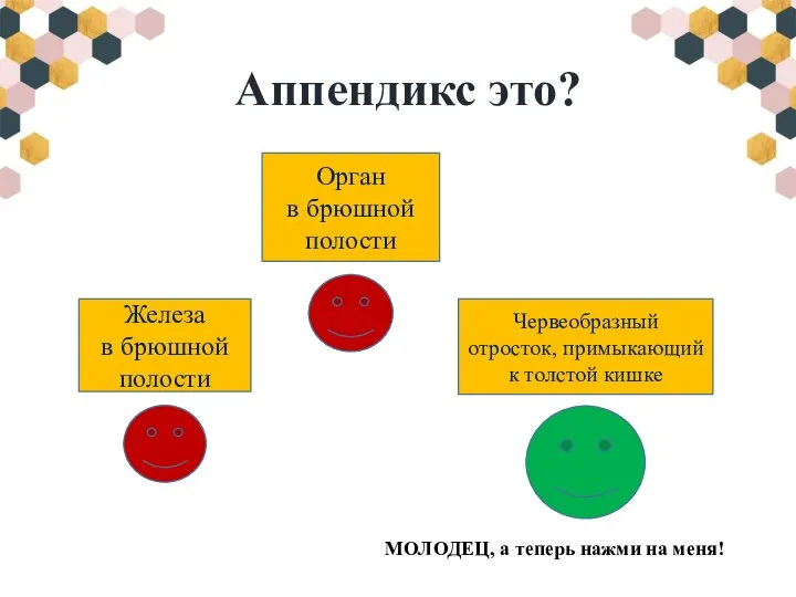 Аппендикс это? Орган в брюшной полости Железа в брюшной полости Червеобразный