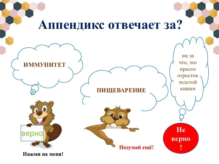 Аппендикс отвечает за? ИММУНИТЕТ ПИЩЕВАРЕНИЕ Подумай ещё! Нажми на меня! ни