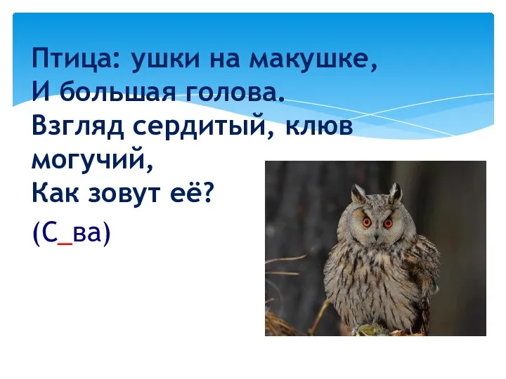 Птица: ушки на макушке, И большая голова. Взгляд сердитый, клюв могучий, Как зовут её? (С_ва)