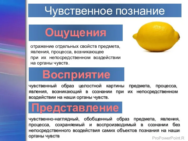 Ощущения отражение отдельных свойств предмета, явления, процесса, возникающее при их непосредственном