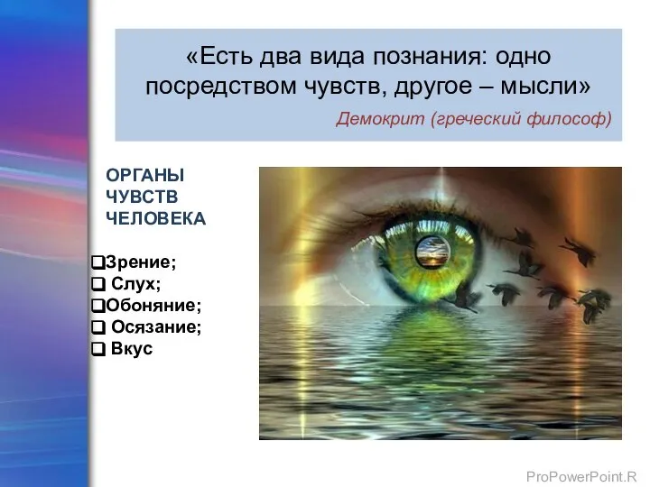 «Есть два вида познания: одно посредством чувств, другое – мысли» Демокрит