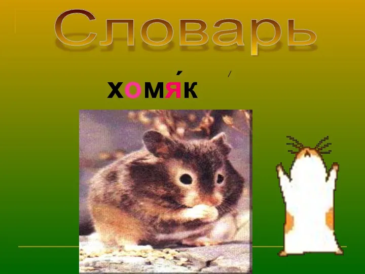 Словарь