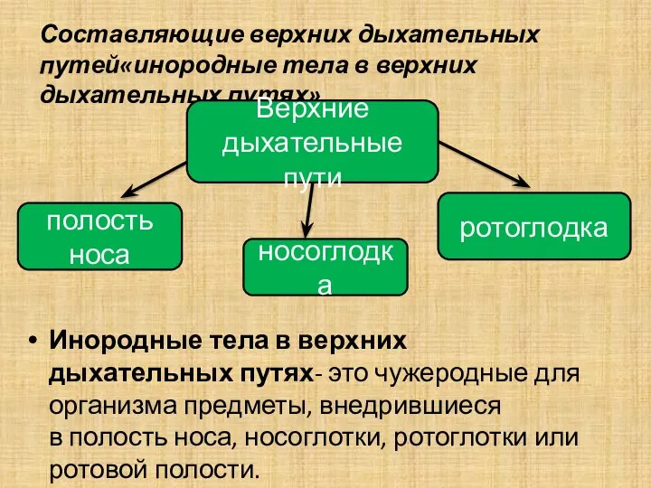 Составляющие верхних дыхательных путей«инородные тела в верхних дыхательных путях» Инородные тела