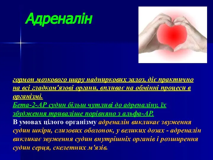 гормон мозкового шару надниркових залоз, діє практично на всі гладком'язові органи,