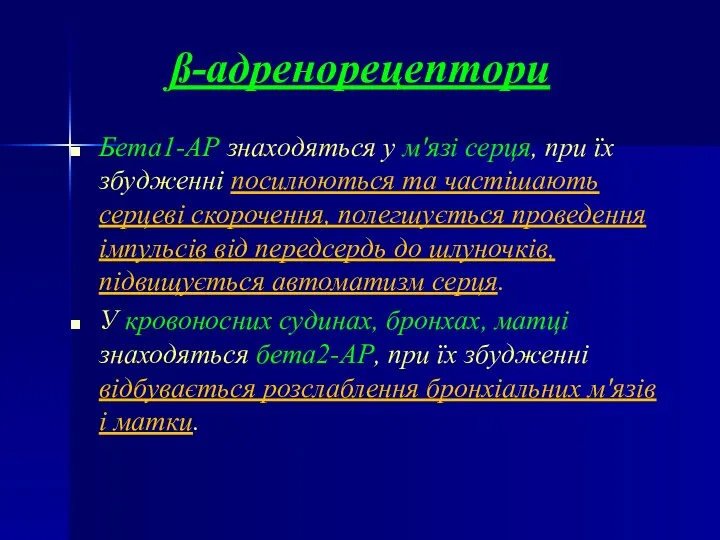 ß-адренорецептори Бета1-АР знаходяться у м'язі серця, при їх збудженні посилюються та