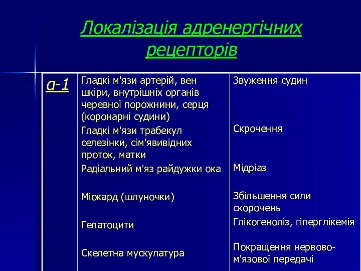 Локалізація адренергічних рецепторів