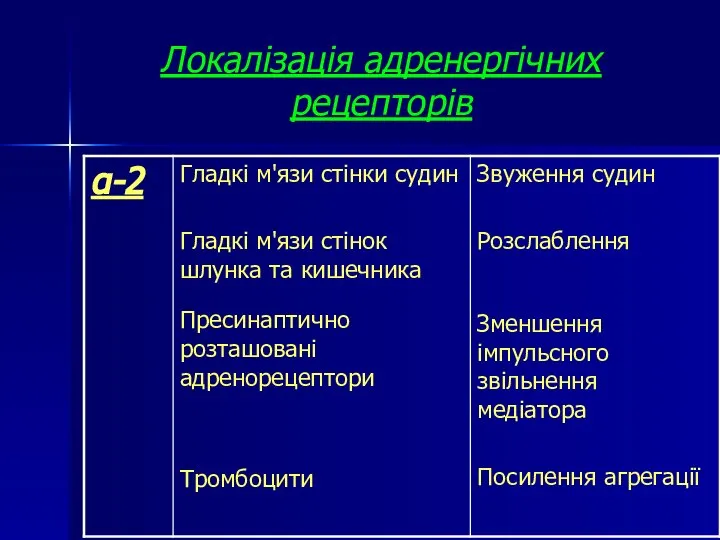 Локалізація адренергічних рецепторів