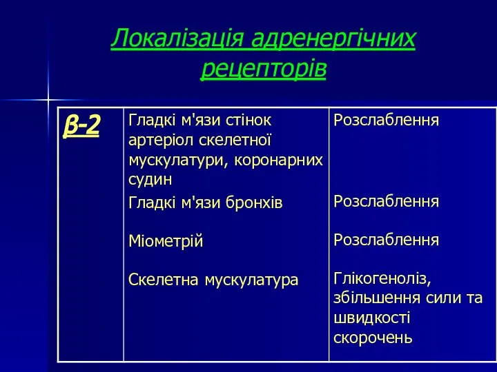 Локалізація адренергічних рецепторів