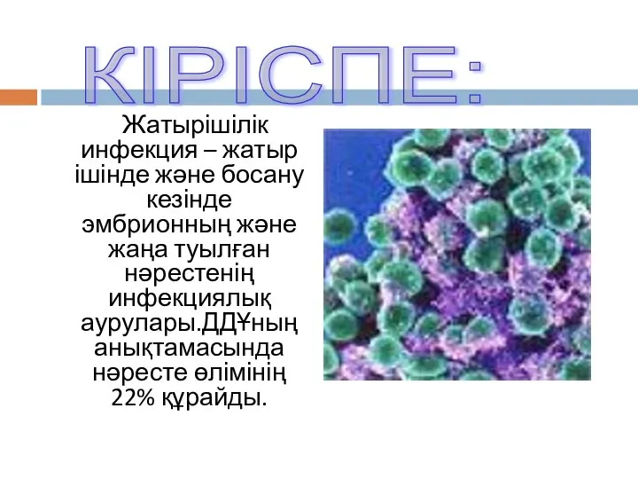 КІРІСПЕ: Жатырішілік инфекция – жатыр ішінде және босану кезінде эмбрионның және