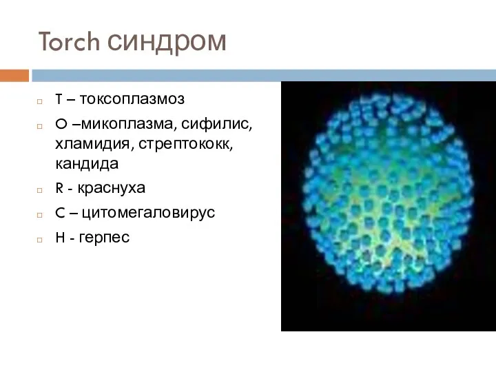 Torch синдром T – токсоплазмоз O –микоплазма, сифилис, хламидия, стрептококк, кандида